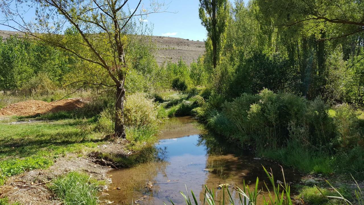 Casa Rural Los Yeros Aldeasona - Segovia 外观 照片